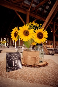 Howard-Smith Wedding | Valley View Farms | Lewisburg, WV