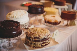 Lee Wedding | Pangtography | Valley View Farms Weddings & Events