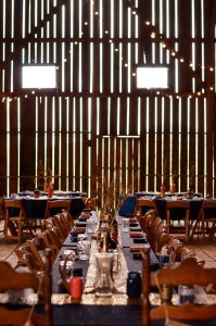 Shannon & Adam | Erica Agee Photography