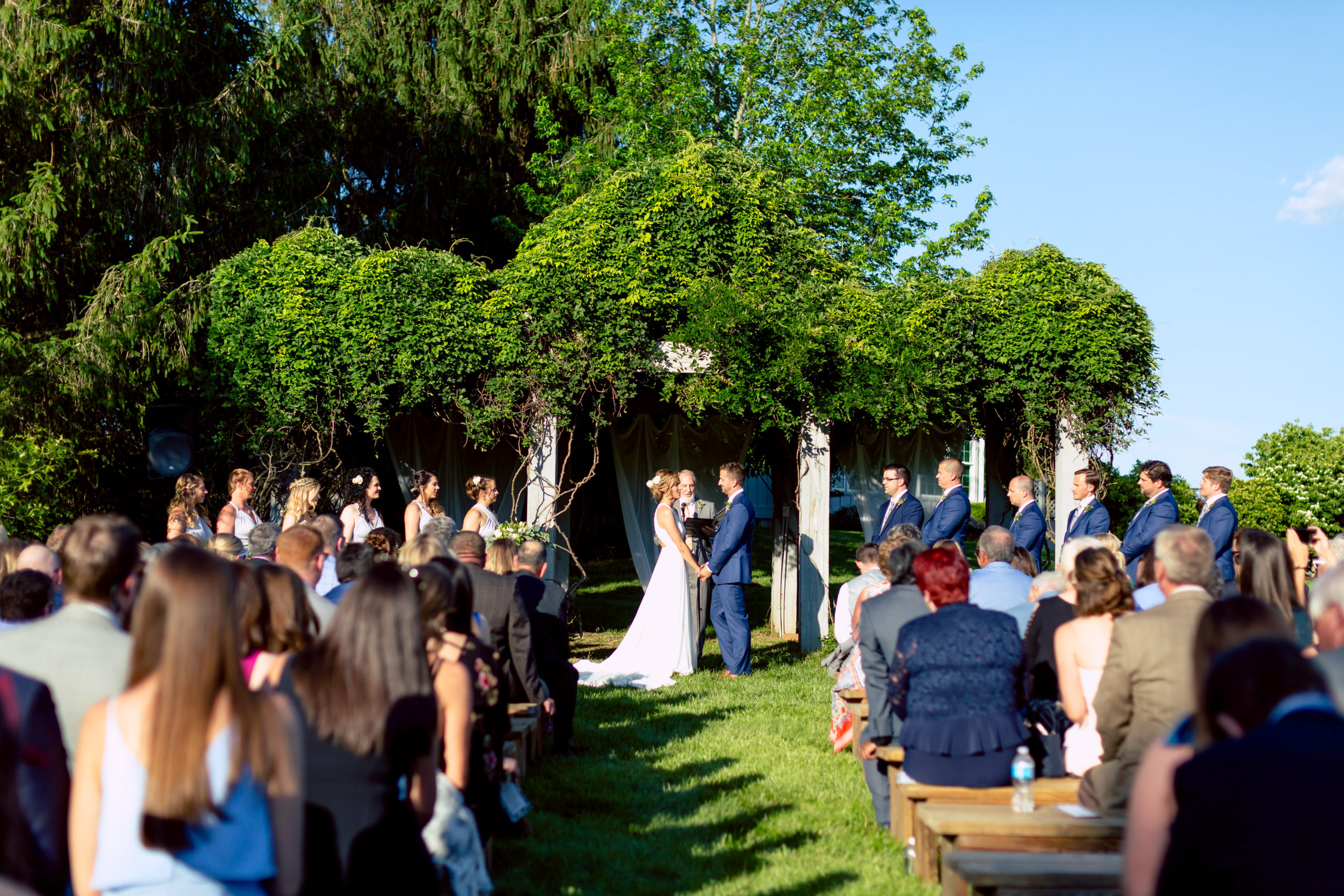 Summer wedding ceremony under a lush green archway. Friends and family gather, vows are exchanged.